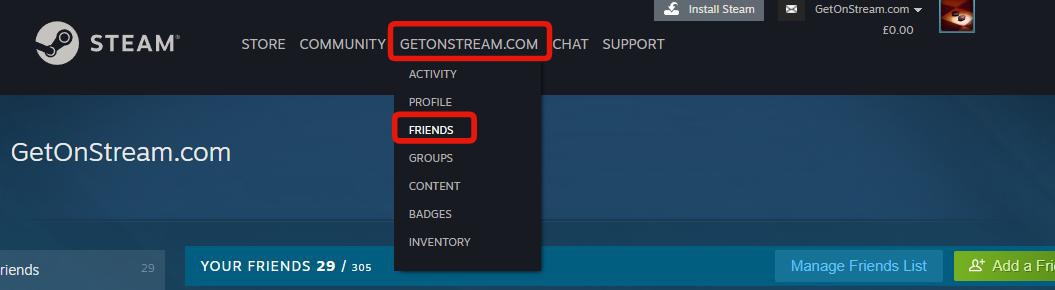 Steam Friends List Screenshot