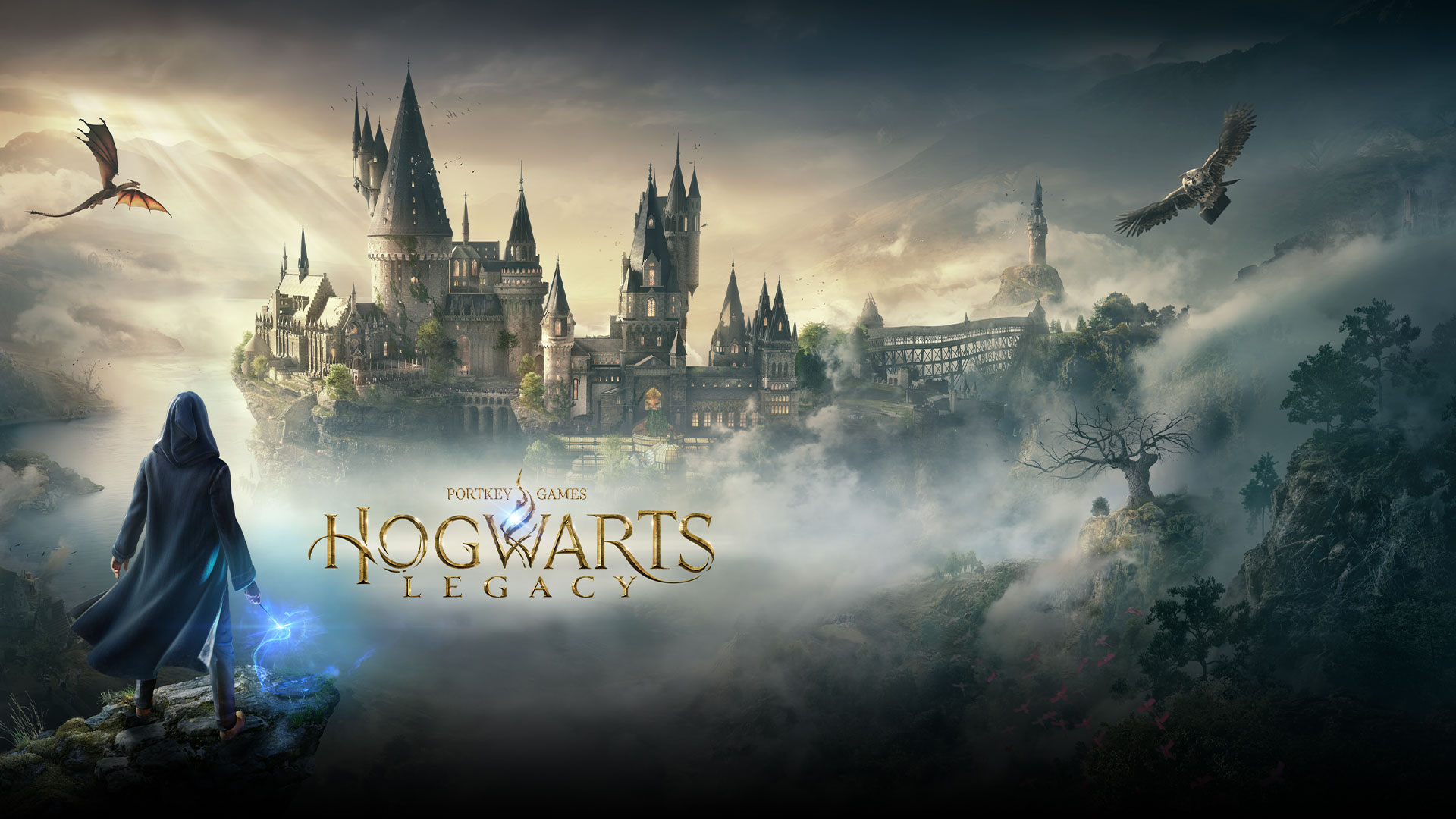 Hogwarts Legacy Best FPS Settings