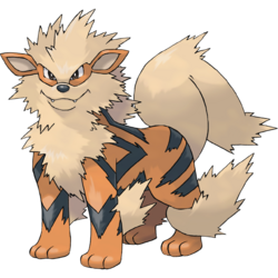 Arcanine Fire Type Pokemon