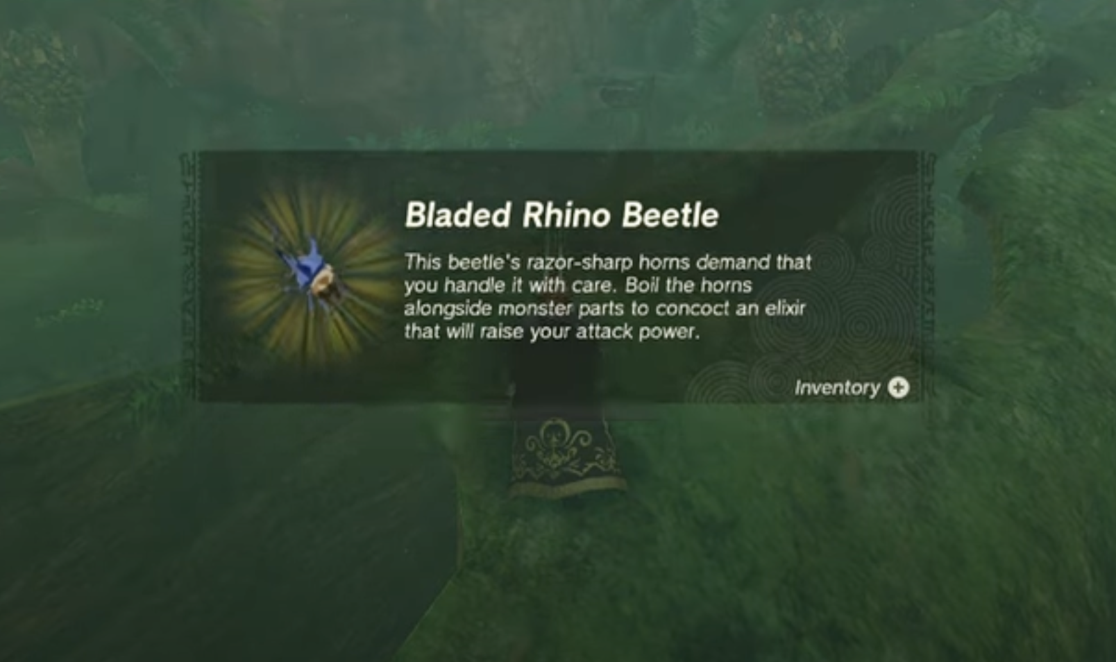 Bladed Rhino Beetle