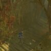 Diablo 4 Swamp Protection Bug