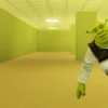 Shrek In The Backrooms
